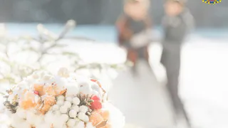 Во Владимирской области за январь 2025 года сыграно 385 свадеб