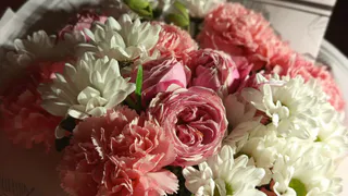 Жительница Коми лишилась 300 тысяч рублей, поверив в «подарок к дню рождения»