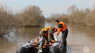 17 апреля в Рязани уровень воды в реке Оке снизился на 32 сантиметра