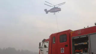 В Рязанской области площадь лесных пожаров составила 8,6 тыс. га