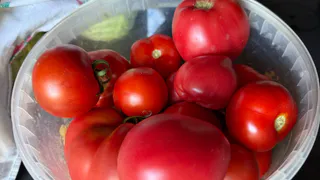 Томаты теперь не гниют - свежие целый месяц: теперь храню только так
