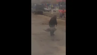 Осень в помощь - в Рязани находчивый дворник ремонтирует дороги опавшей листвой