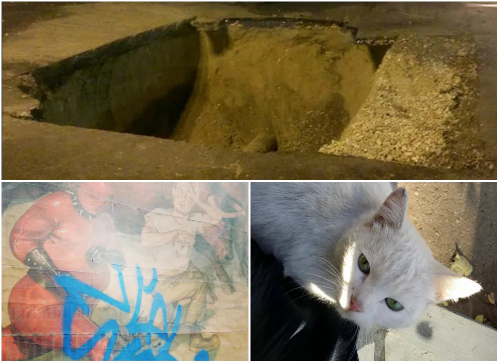 Рязанское утро в Инстраграм: 3D - рисунок, странные плакаты в городе и котенок, которому ищут хозяина