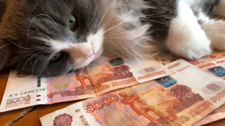 6 месяцев - крайний срок: почему пенсии могут перестать выплачивать через полгода