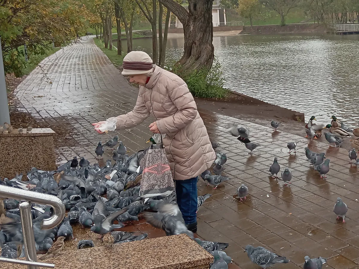 Экологическая катастрофа в Бугульме: массовая гибель птиц