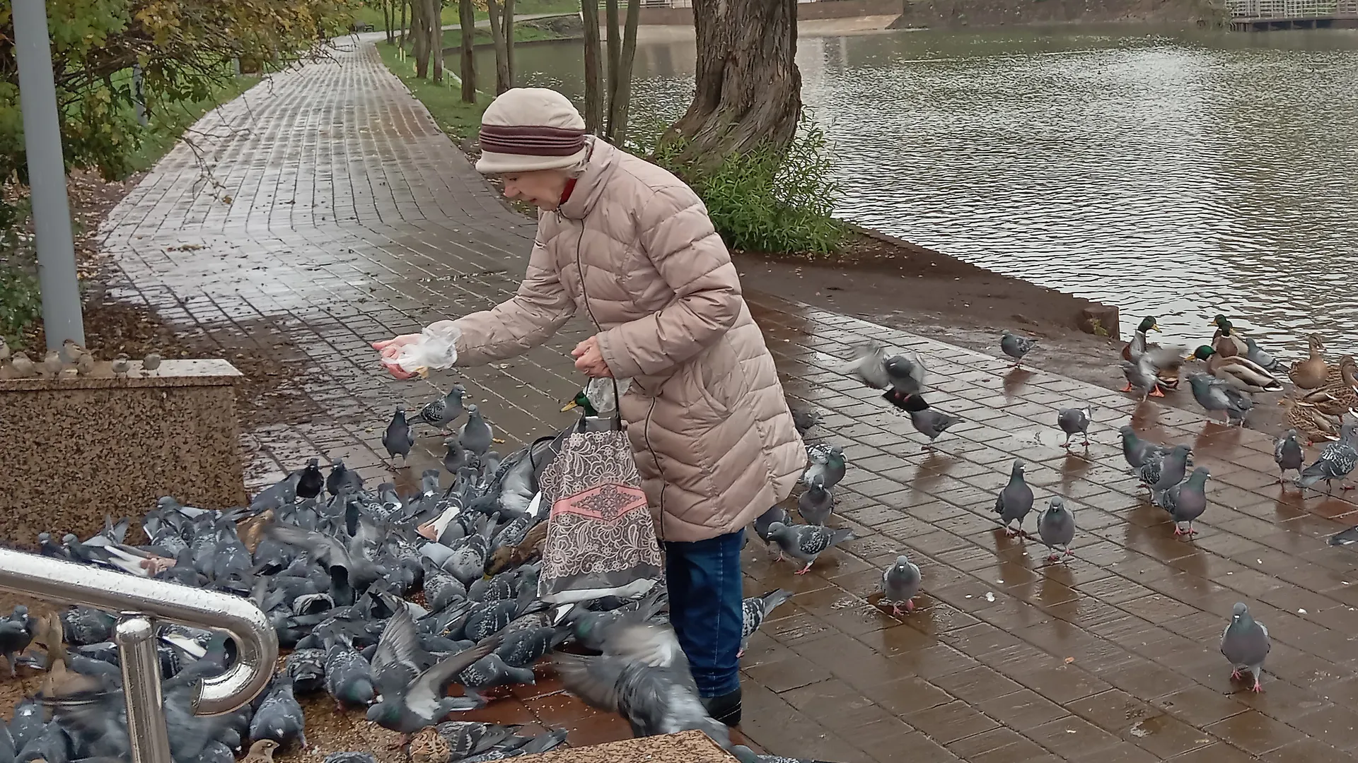 В старости пригодятся не друзья, не дети, не муж и не жена, а эти 4 вещи - полезно знать и молодым, и старым