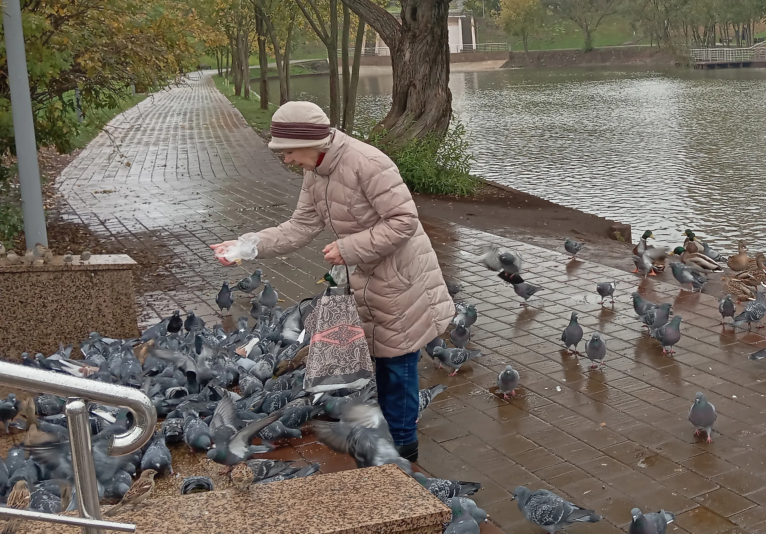 Экологическая катастрофа в Бугульме: массовая гибель птиц