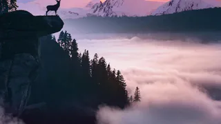 Никогда не ложитесь спать без запроса к вашему подсознанию