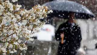 Осадков в марте будет в избытке