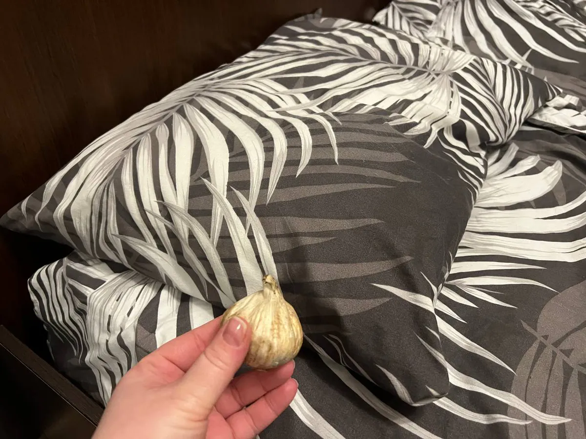 Так поступали наши предки: положите чеснок под подушку и уже утром увидите результат