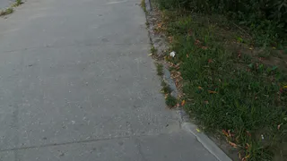 Жительница Рязани попросила благоустроить Горбатый мост