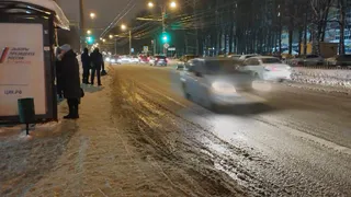В декабре нагрянет осенняя погода, вместо снега будут ливни: погода на Новый год преподнесет суровый "подарок"