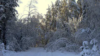 В Рязани прекращены поиски 29-летнего мужчины 
