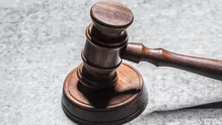 Владимирец жестоко убил свою кошку на глазах у детей