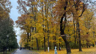 «Территория парка в ужасном состоянии»: как на самом деле проводилось благоустройство зоны отдыха в г. Кораблино