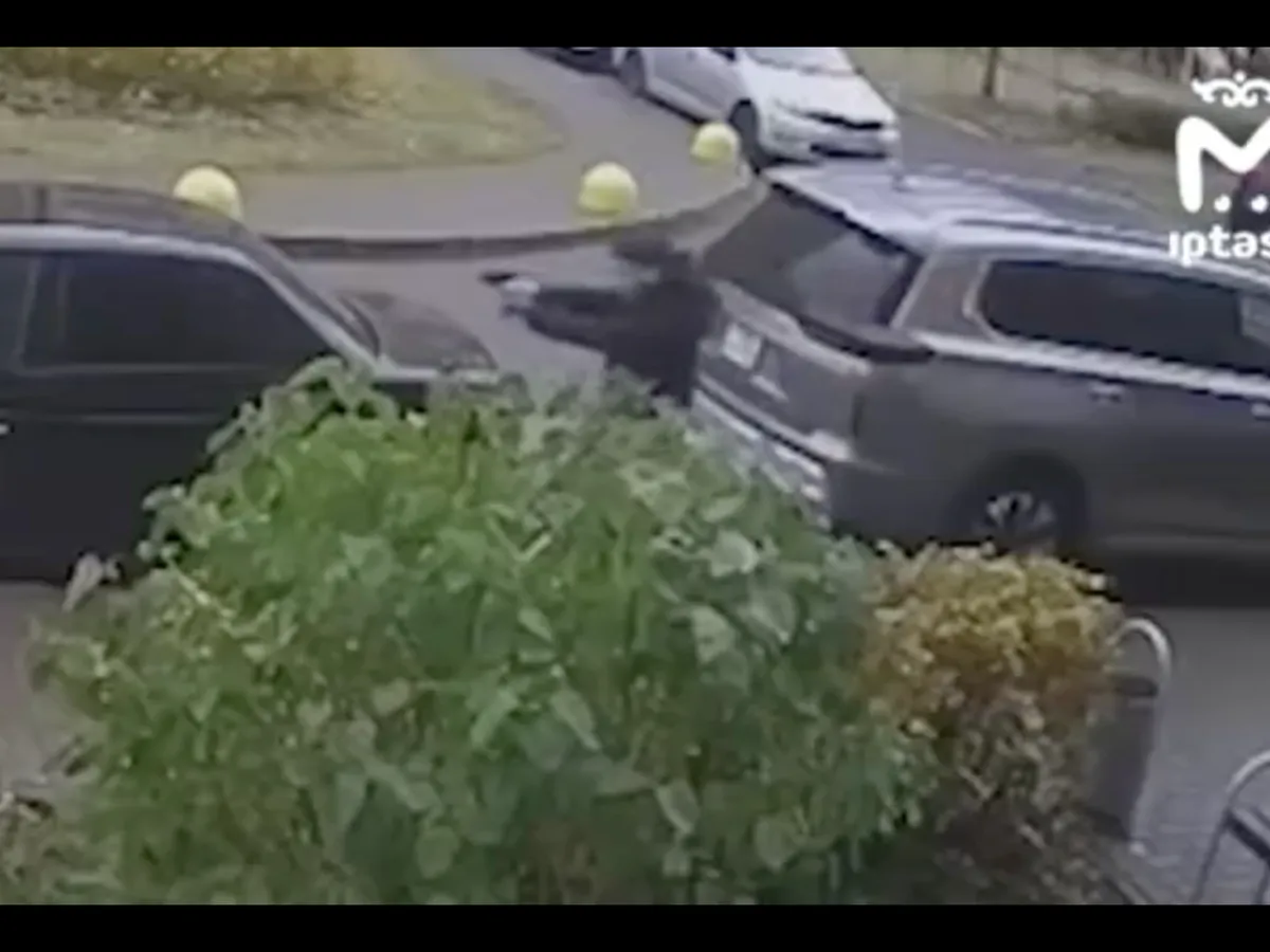 Вооружённый житель Челнов устроил погоню за дворником и забрал метлу