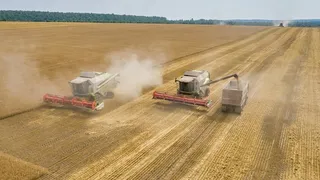 Аграрии Рязанской области соберут 2,7 млн тонн зерна в 2024 году