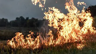Во Владимирской области сохраняется высокая пожарная опасность