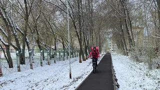 В Татарстане курьеров обяжут проходить инструктаж по ПДД