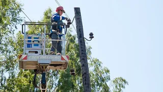 Во Владимирской области заменили 85 километров электропроводов на изолированные
