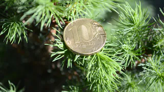 Индексация пенсий в России в 2025 году: что изменится?