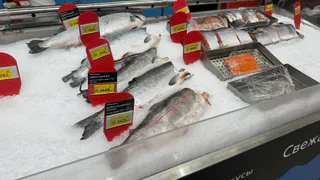 Этим людям нужна соленая рыба: Ученые назвали группу риска - проверьте себя в списке