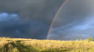 На рязанских полях продолжается работа