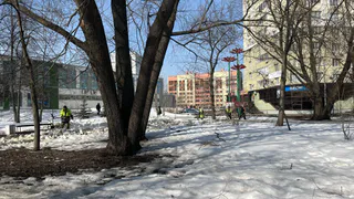 По 9 999 рублей отдельно от пенсии с 1 апреля. В России обрадовали всех пенсионеров