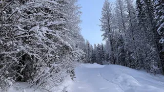 Тайны древнего Усть-Вымья: что скрывают забытые деревни?