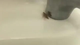 Родители недовольны условиями в детском отделении Петушинской районной больницы