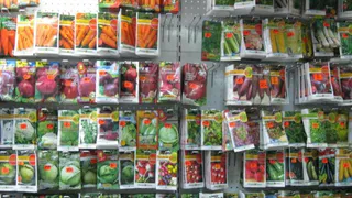 В брянских супермаркетах торговали семенами без документов