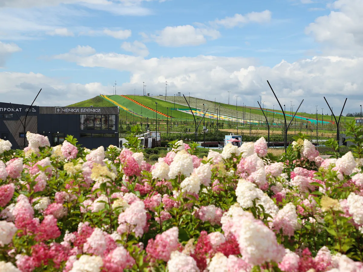 «Притяжение» преображается: миллионы саженцев и уникальные растения украсят курорт