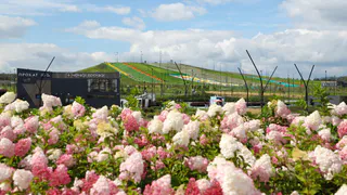 «Притяжение» преображается: миллионы саженцев и уникальные растения украсят курорт