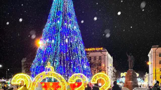 Опрос: долгие новогодние каникулы - это хорошо или плохо?