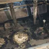 В Сыктывкаре из горящего цеха эвакуировали 20 человек