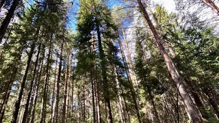 Фермеры Челябинской области создают уникальные туристические маршруты для любителей агротуризма