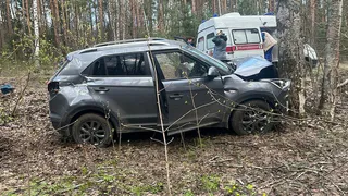 В Рязанской области водитель с сердечным приступом врезался в дерево и погиб