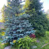 Новая неделя принесет в Коми и жару, и грозы, и резкое похолодание
