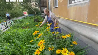 Пожилую женщину, которая отругала подростка за сорванный с клумбы цветок, отдали под суд