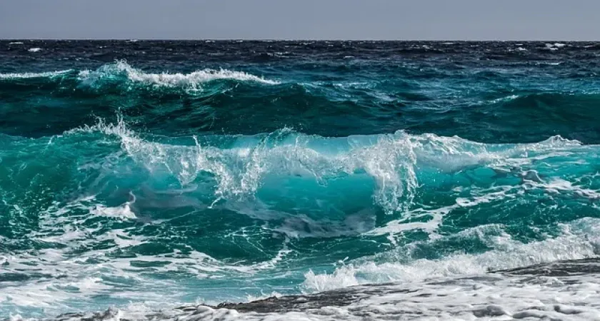 "Больше никогда не приедем": туристы шокированы курортами Черного моря - Вместо моря сплошная канализация