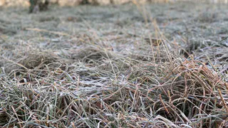 Холода набирают обороты: рязанцев ждет морозное воскресенье