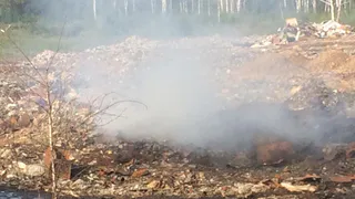 Турлатовскую свалку закроют  - суд потребовал очистить полигон