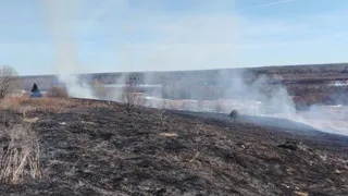 В Коми потушили первый в сезоне природный пожар - горела сухая трава 