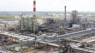 Мэрии Рязани предложили создать Зеленый стандарт города