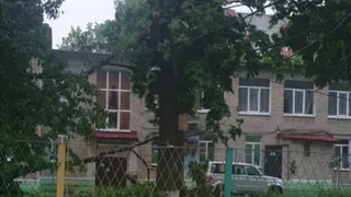 В Рязани у детского сада упавшая ветка убила женщину 32 лет