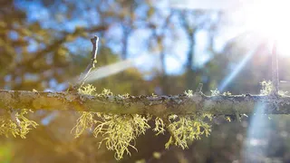 Прогноз разочарует: синоптики рассказали, когда вернется 20-градусное тепло