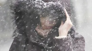 В Брянской области прогнозируют сильный ветер