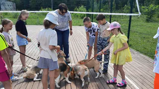 В Чувашии в работе с детьми успешно практикуют зоотерапию