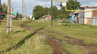 В Ядринском округе Чувашии объявили карантин из-за бешенства
