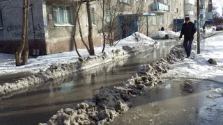 17 марта в Рязанской области ожидается дождь и +6